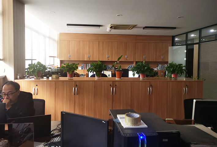 Internal environment of the company 8